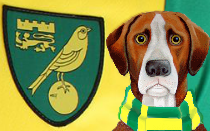 Norwich City News Hound